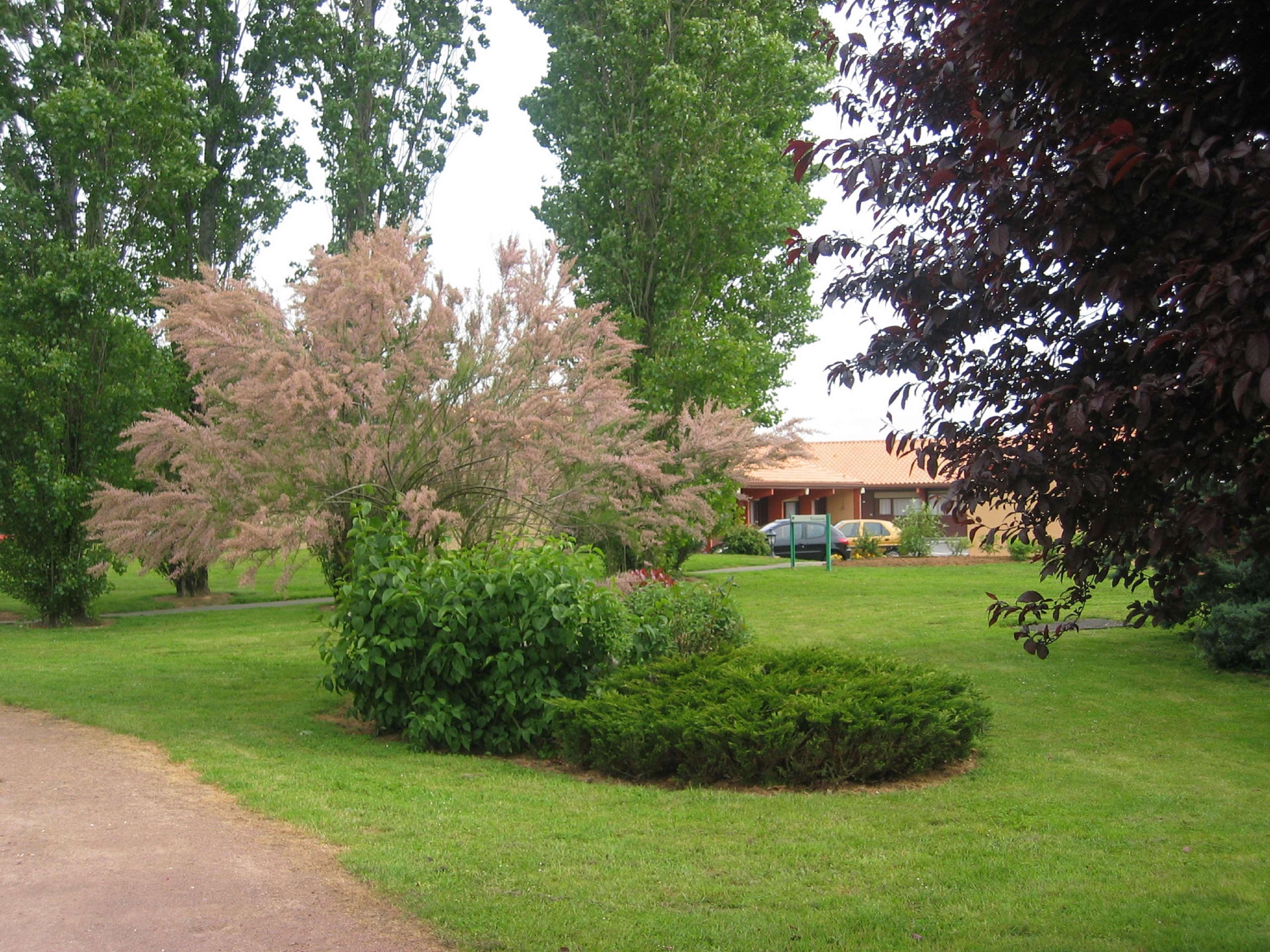 Kyriad Niort - La Creche Bagian luar foto